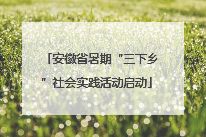 安徽省暑期“三下乡”社会实践活动启动