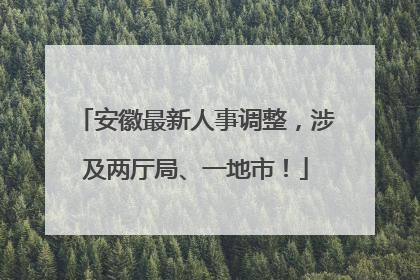 安徽最新人事调整，涉及两厅局、一地市！
