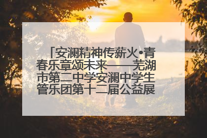 安澜精神传薪火•青春乐章颂未来——芜湖市第二中学安澜中学生管乐团第十二届公益展演圆满举行