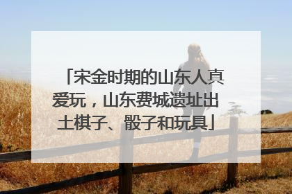 宋金时期的山东人真爱玩，山东费城遗址出土棋子、骰子和玩具