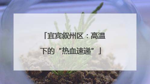 宜宾叙州区：高温下的“热血速递”