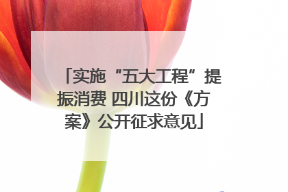 实施“五大工程”提振消费 四川这份《方案》公开征求意见