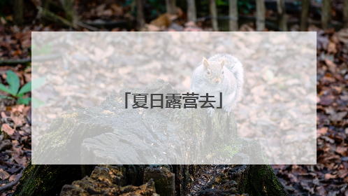 夏日露营去
