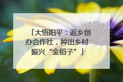 大悟阳平：返乡创办合作社，种出乡村振兴“金稻子”