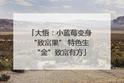 大悟：小蓝莓变身“致富果” 特色生“金”致富有方