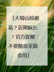 大蜀山捡蘑菇？近期疯长！官方提醒：不要随意采摘食用