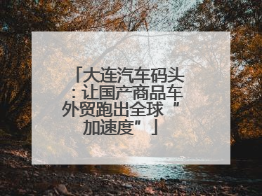大连汽车码头：让国产商品车外贸跑出全球“加速度”