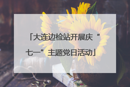 大连边检站开展庆“七一”主题党日活动