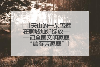 天山的一朵雪莲在聊城灿烂绽放——记全国文明家庭“詹春芳家庭”