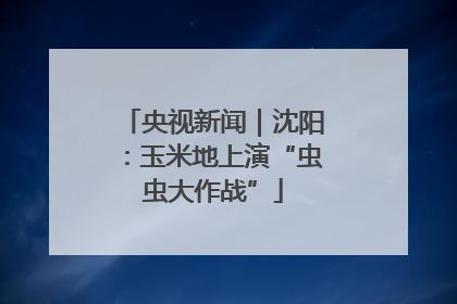 央视新闻｜沈阳：玉米地上演“虫虫大作战”