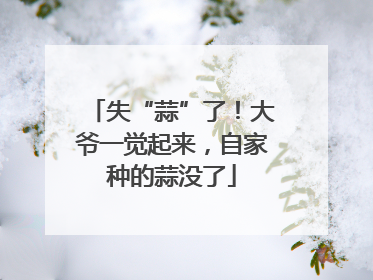 失“蒜”了！大爷一觉起来，自家种的蒜没了