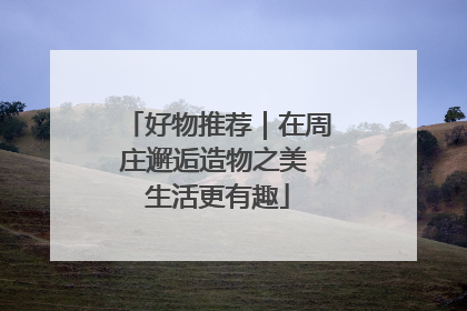 好物推荐｜在周庄邂逅造物之美 生活更有趣