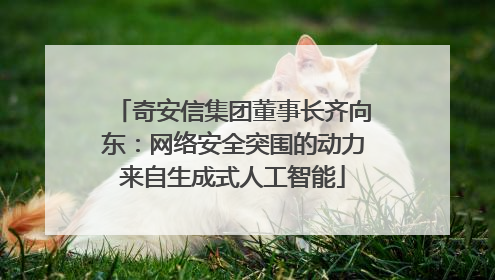 奇安信集团董事长齐向东：网络安全突围的动力来自生成式人工智能