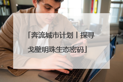 奔流城市计划丨探寻戈壁明珠生态密码