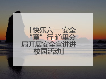 快乐六一 安全“童”行 道里分局开展安全宣讲进校园活动
