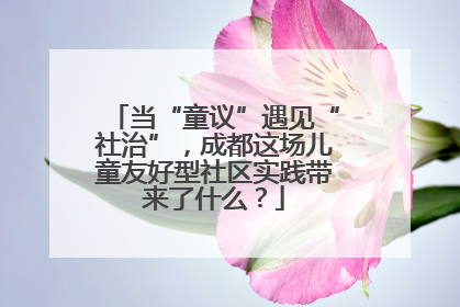 当“童议”遇见“社治”，成都这场儿童友好型社区实践带来了什么？