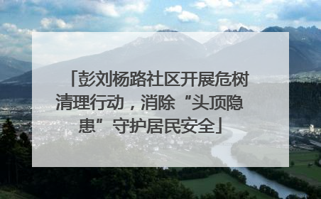 彭刘杨路社区开展危树清理行动，消除“头顶隐患”守护居民安全