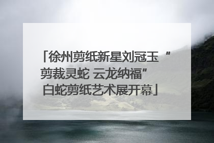 徐州剪纸新星刘冠玉“剪裁灵蛇 云龙纳福” 白蛇剪纸艺术展开幕
