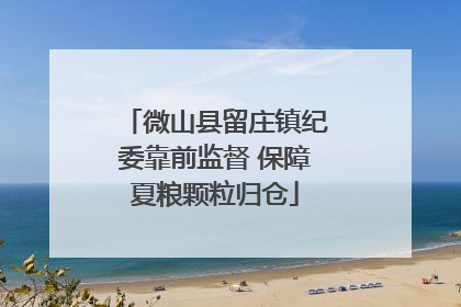 微山县留庄镇纪委靠前监督 保障夏粮颗粒归仓
