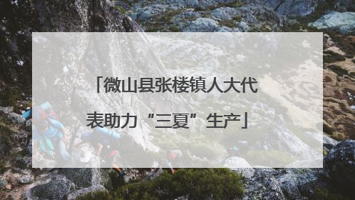 微山县张楼镇人大代表助力“三夏”生产
