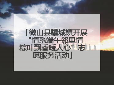 微山县驩城镇开展“情系端午邻里情 粽叶飘香暖人心”志愿服务活动