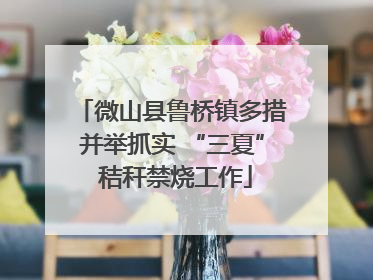 微山县鲁桥镇多措并举抓实 “三夏” 秸秆禁烧工作