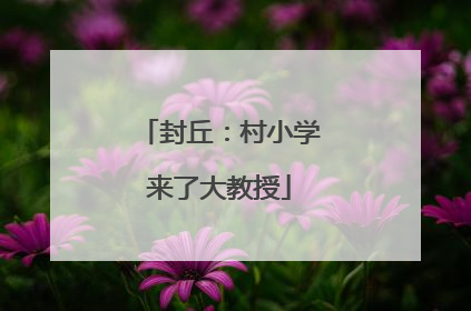 封丘：村小学来了大教授