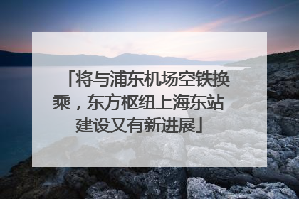 将与浦东机场空铁换乘，东方枢纽上海东站建设又有新进展