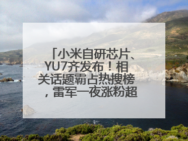 小米自研芯片、YU7齐发布！相关话题霸占热搜榜，雷军一夜涨粉超20万