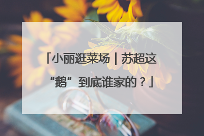 小丽逛菜场｜苏超这“鹅”到底谁家的？