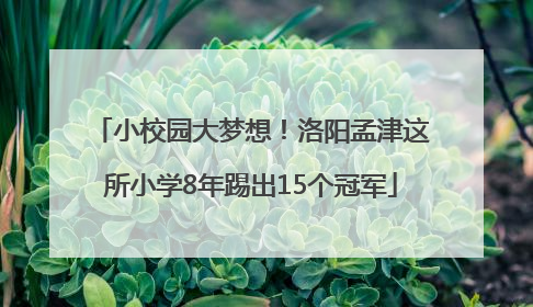小校园大梦想！洛阳孟津这所小学8年踢出15个冠军