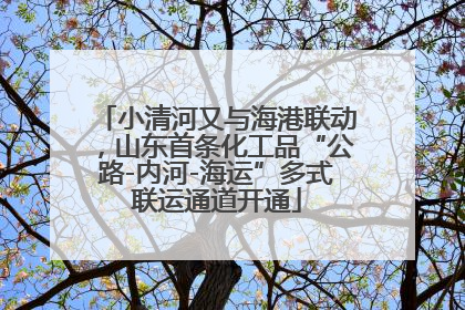 小清河又与海港联动，山东首条化工品“公路-内河-海运”多式联运通道开通