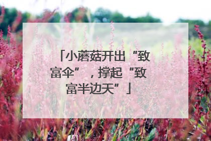 小蘑菇开出“致富伞”，撑起“致富半边天”