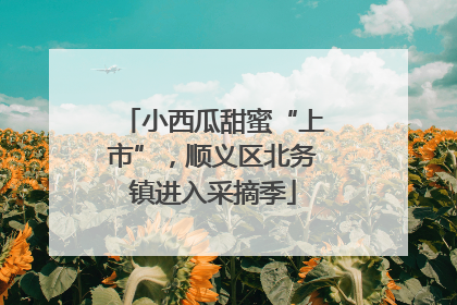 小西瓜甜蜜“上市”，顺义区北务镇进入采摘季
