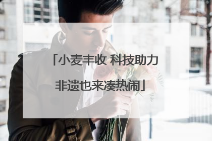 小麦丰收 科技助力 非遗也来凑热闹