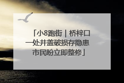 小8跑街｜桥梓口一处井盖破损存隐患 市民盼立即整修