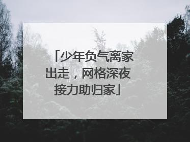 少年负气离家出走，网格深夜接力助归家