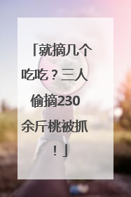 就摘几个吃吃？三人偷摘230余斤桃被抓！