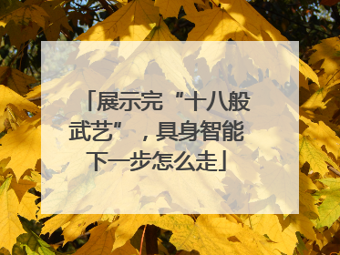 展示完“十八般武艺”，具身智能下一步怎么走