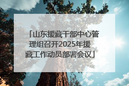 山东援藏干部中心管理组召开2025年援藏工作动员部署会议