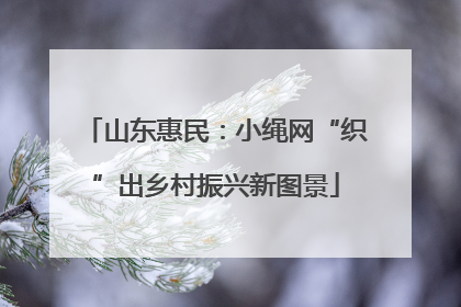 山东惠民：小绳网“织”出乡村振兴新图景