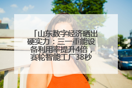 山东数字经济晒出硬实力：三一重能设备利用率提升4倍，赛轮智能工厂38秒生产一条轮胎