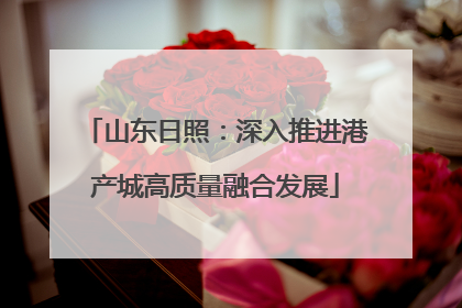山东日照：深入推进港产城高质量融合发展