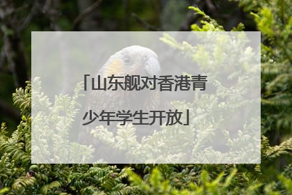 山东舰对香港青少年学生开放