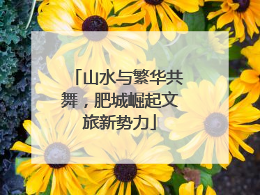 山水与繁华共舞，肥城崛起文旅新势力