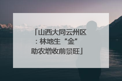 山西大同云州区：林地生“金” 助农增收前景旺