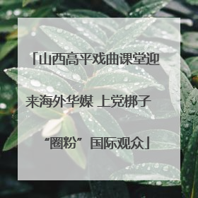 山西高平戏曲课堂迎来海外华媒 上党梆子“圈粉”国际观众