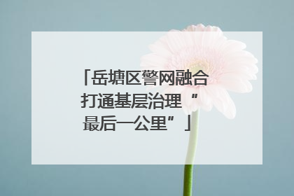 岳塘区警网融合 打通基层治理“最后一公里”