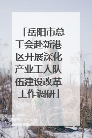 岳阳市总工会赴新港区开展深化产业工人队伍建设改革工作调研