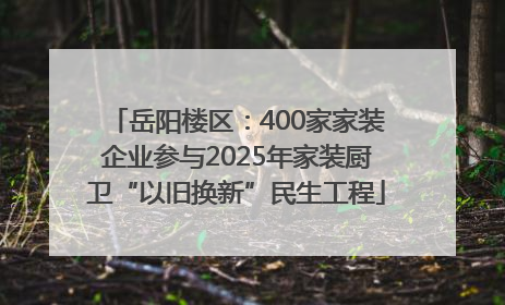 岳阳楼区：400家家装企业参与2025年家装厨卫“以旧换新”民生工程